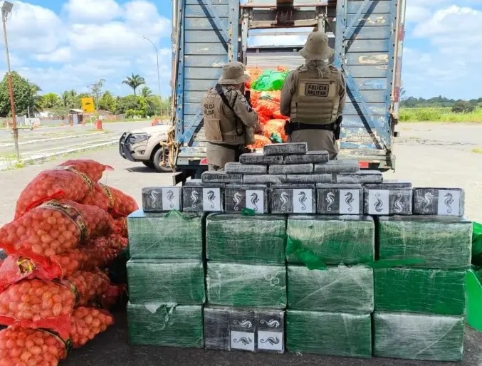 Polícia apreende 500 kg de cocaína escondida em carga de cebolas