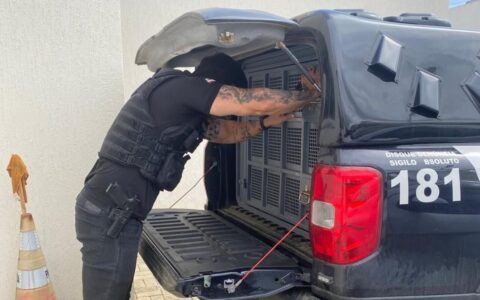 Imagem do post Idosa morre após cárcere privado na Bahia; companheiro é preso