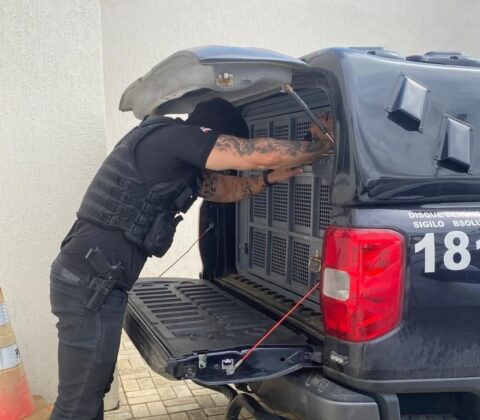 Imagem do post Idosa morre após cárcere privado na Bahia; companheiro é preso