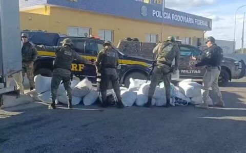 Imagem do post Forças Estaduais e Federais interceptam 781 kg de maconha