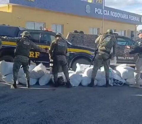 Imagem do post Forças Estaduais e Federais interceptam 781 kg de maconha