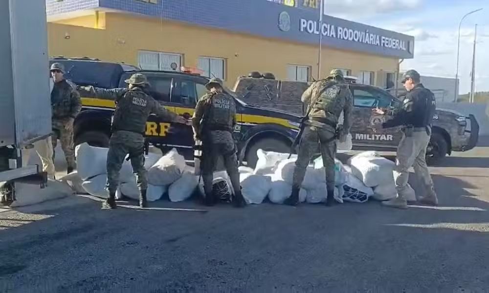 Forças Estaduais e Federais interceptam 781 kg de maconha