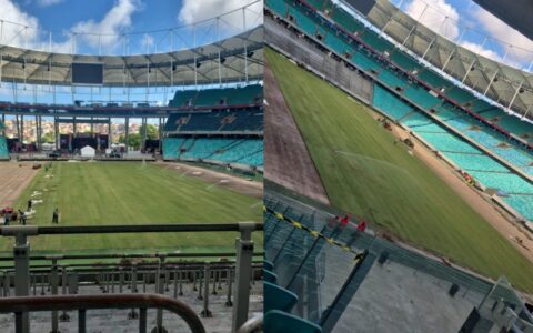 Imagem do post Novo gramado da Arena Fonte Nova vai ganhando forma; confira