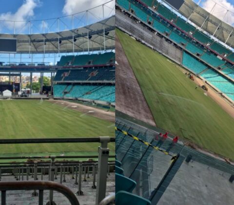 Imagem do post Novo gramado da Arena Fonte Nova vai ganhando forma; confira