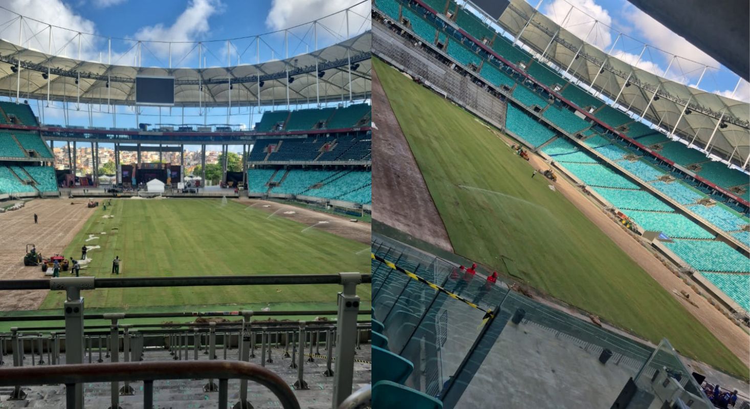 Novo gramado da Arena Fonte Nova vai ganhando forma; confira