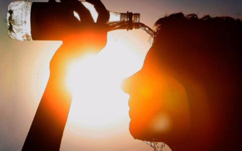 Imagem do post Calor extremo mata milhares: Brasil e mundo em alerta