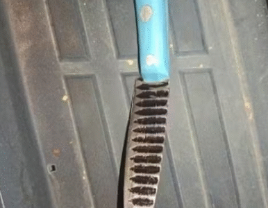 Imagem do post Mulher de 50 anos mata companheiro com facada após briga