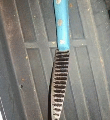 Imagem do post Mulher de 50 anos mata companheiro com facada após briga