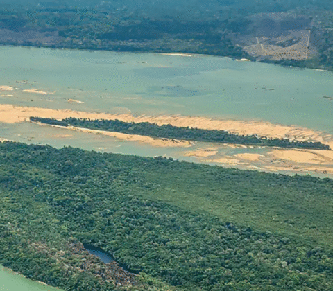 Imagem do post Desmatamento volta com força em terra indígena na Amazônia