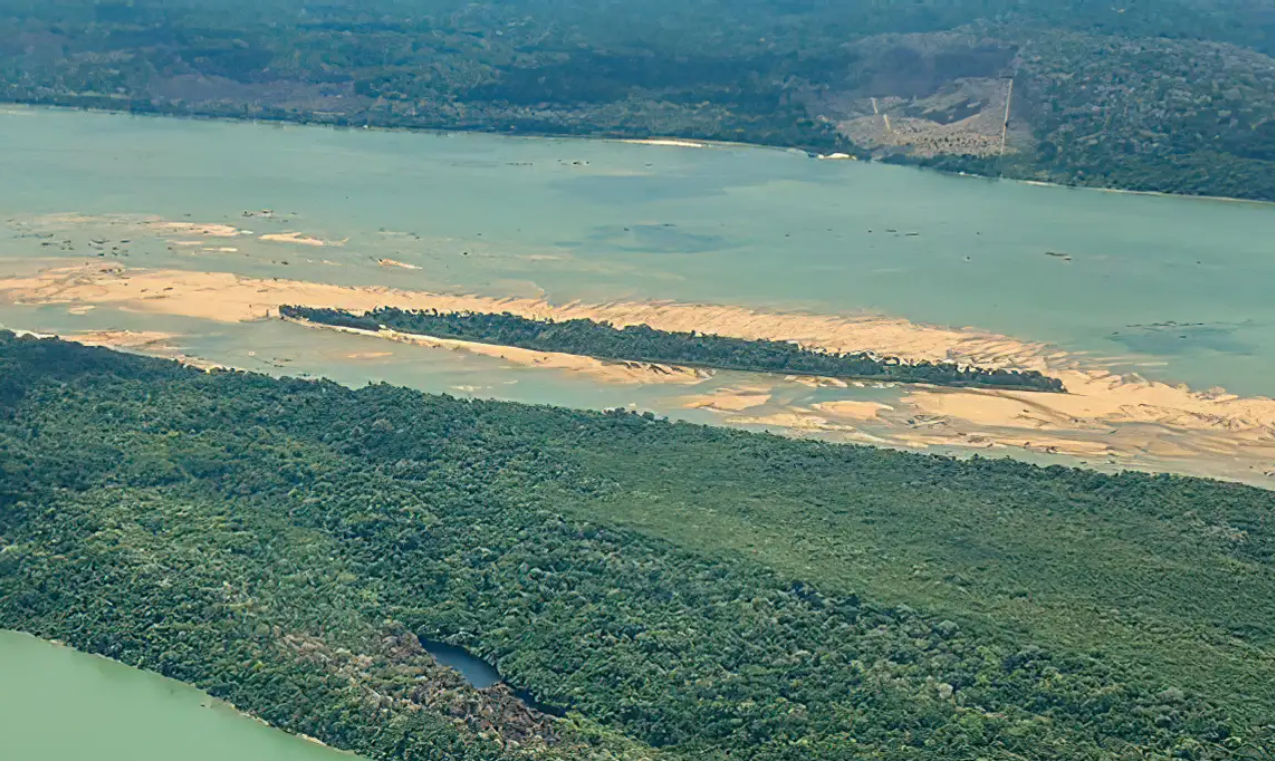 Desmatamento volta com força em terra indígena na Amazônia