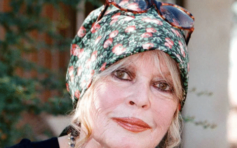 Imagem do post Ícone do cinema, Brigitte Bardot é internada aos 91 anos