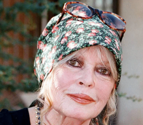 Imagem do post Ícone do cinema, Brigitte Bardot é internada aos 91 anos
