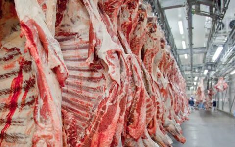 Imagem do post Exportação de carne bovina do Brasil bate novo recorde em setembro