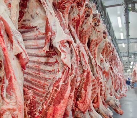 Imagem do post Exportação de carne bovina do Brasil bate novo recorde em setembro