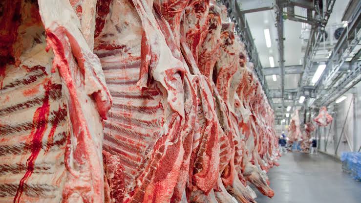 Exportação de carne bovina do Brasil bate novo recorde em setembro