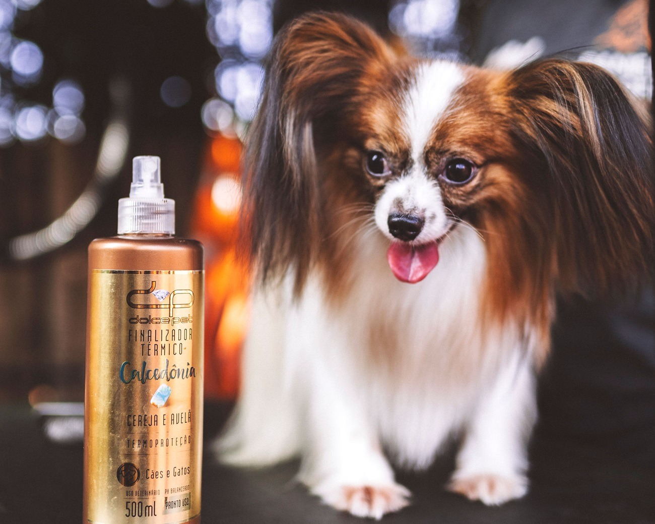 Com projeção de atingir USD 3,2 bilhões até 2032, mercado de estética pet ganha formulações inteligentes e produtos que cuidam da pele dos animais