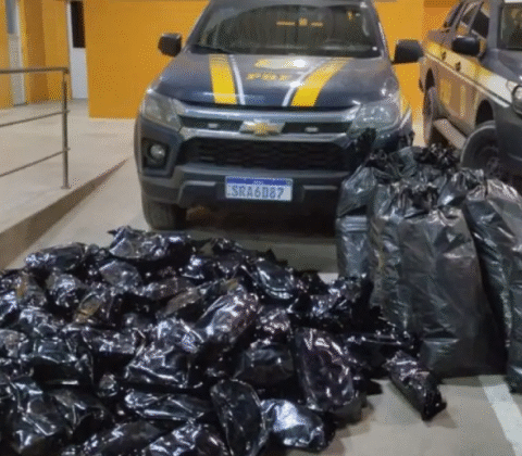 Imagem do post PRF apreende 109 kg de maconha na BR-324 e prende dois