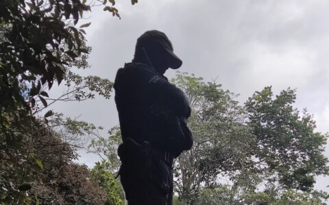 Imagem do post Homem é preso com armas ilegais e pássaros silvestres na Bahia