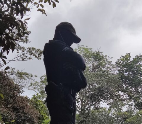 Imagem do post Homem é preso com armas ilegais e pássaros silvestres na Bahia