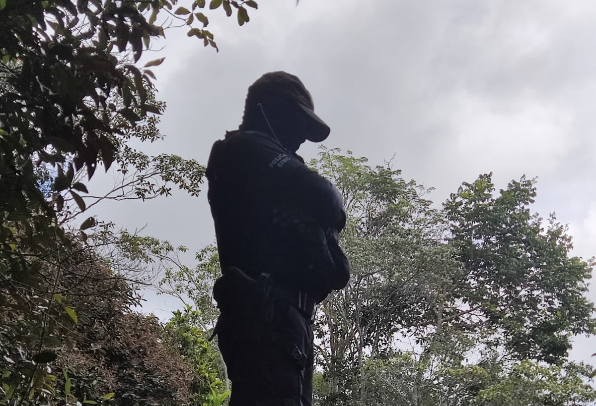 Homem é preso com armas ilegais e pássaros silvestres na Bahia
