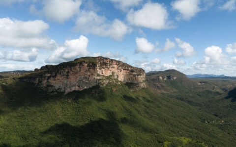 Imagem do post Expande Capão anuncia palestrantes que unem neurociência, cannabis e saberes ancestrais