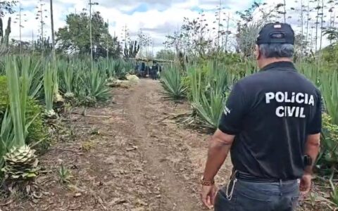 Imagem do post Após 9 anos, acusado de estupro da filha é preso na Bahia