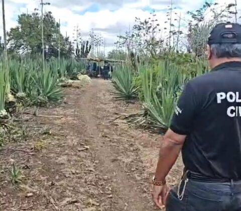 Imagem do post Após 9 anos, acusado de estupro da filha é preso na Bahia