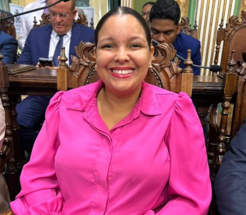 Imagem do post Câmara aprova projeto de Isabela Sousa que torna Boa Vista do Lobato o 172º bairro de Salvador