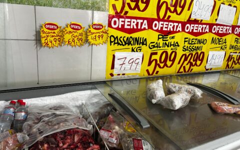 Imagem do post Polícia Civil prende envolvido e retira mais de meia tonelada de carne clandestina de circulação