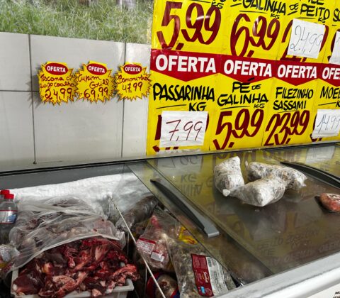 Imagem do post Polícia Civil prende envolvido e retira mais de meia tonelada de carne clandestina de circulação