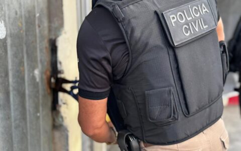 Imagem do post Polícia Civil prende em flagrante funcionário de empresa por furto qualificado