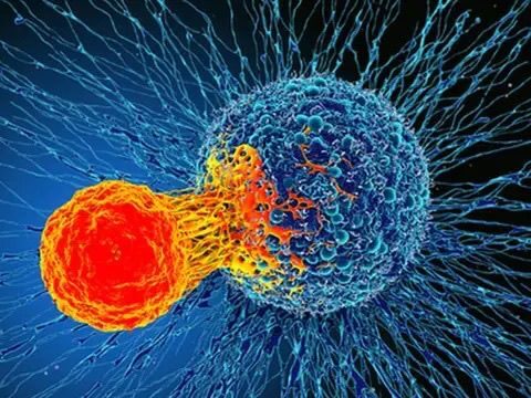 Imagem do post Clínica IBIS leva avanços do Nobel de Medicina para pacientes em Salvador