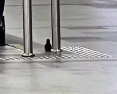 Imagem do post Alerta de bomba no Aeroporto de Salvador termina em susto