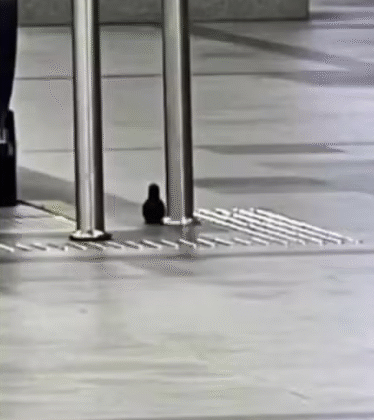 Imagem do post Alerta de bomba no Aeroporto de Salvador termina em susto