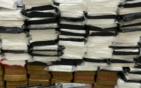 Imagem do post Polícia Civil apreende 250 kg de drogas em Vitória da Conquista