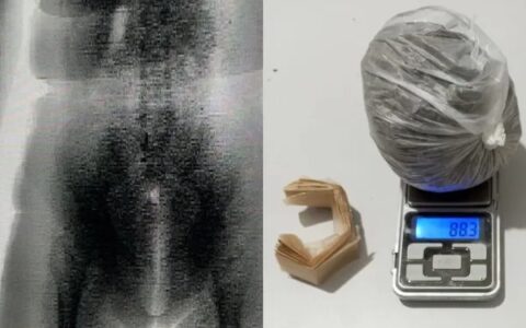 Imagem do post Mulher é presa com drogas escondidas nas partes íntimas