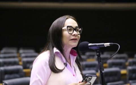 Imagem do post Ivoneide aponta enfraquecimento da PF em PL Antifacção