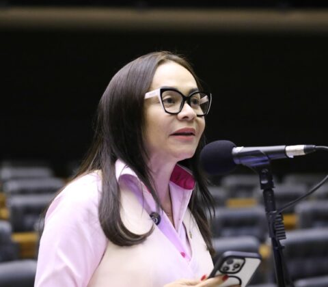 Imagem do post Ivoneide aponta enfraquecimento da PF em PL Antifacção