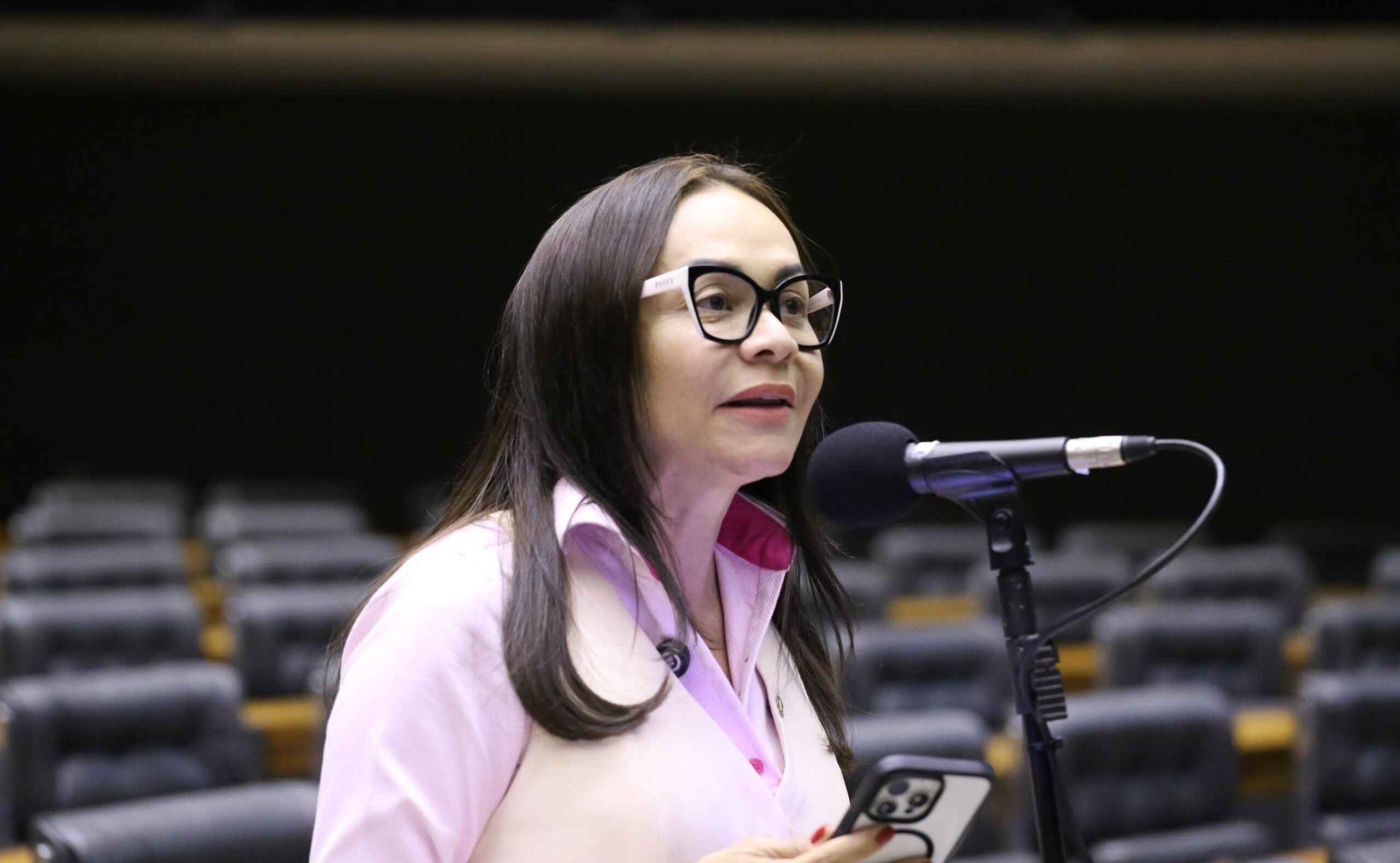 Ivoneide aponta enfraquecimento da PF em PL Antifacção