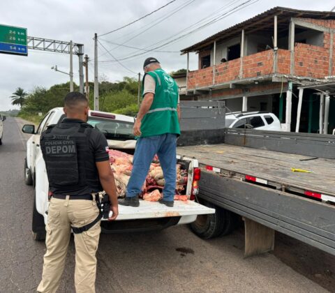 Imagem do post Trio é preso em flagrante pela Polícia Civil por furto em antigo prédio dos Correios