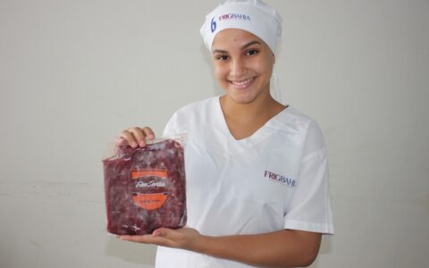 Imagem do post Bahia leva protagonismo feminino e inovação para a COP-30