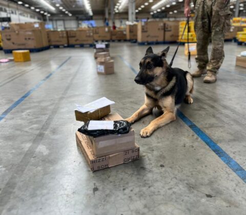 Imagem do post Apreensão de arma e drogas marca operação no Centro de Distribuição dos Correios em Simões Filho