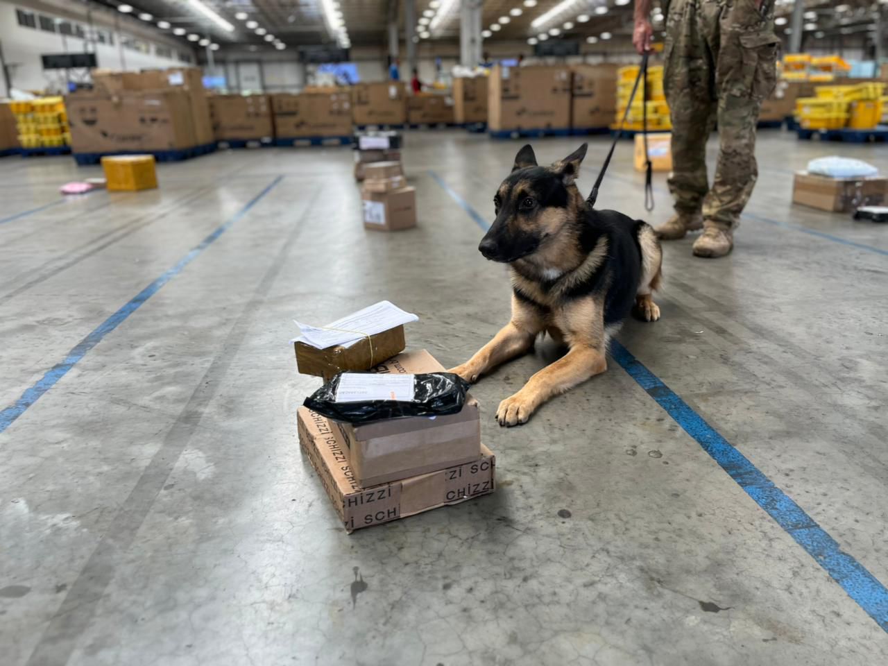 Apreensão de arma e drogas marca operação no Centro de Distribuição dos Correios em Simões Filho