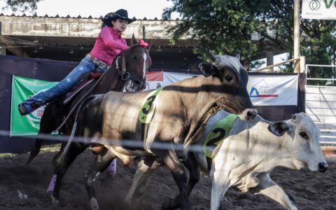 Imagem do post Fenagro 2025: Salvador sedia maior feira agropecuária do Nordeste
