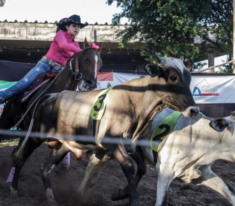 Imagem do post Fenagro 2025: Salvador sedia maior feira agropecuária do Nordeste