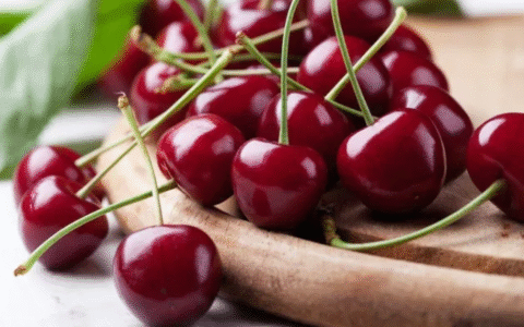 Imagem do post Brasil destrói mais de 1 tonelada de Cerejas com ácaro Chileno em SP