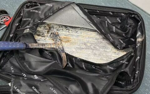 Imagem do post Jovem é presa no aeroporto após tentar embarcar com cocaína escondida em mala