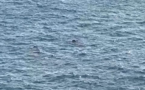 Imagem do post Corpo é encontrado boiando na praia da Barra