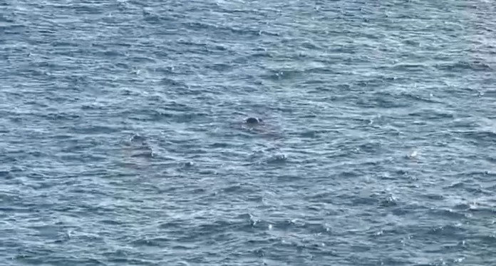 Corpo é encontrado boiando na praia da Barra