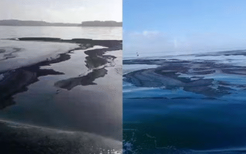 Imagem do post Mancha misteriosa aparece no mar da Bahia e assusta pescadores